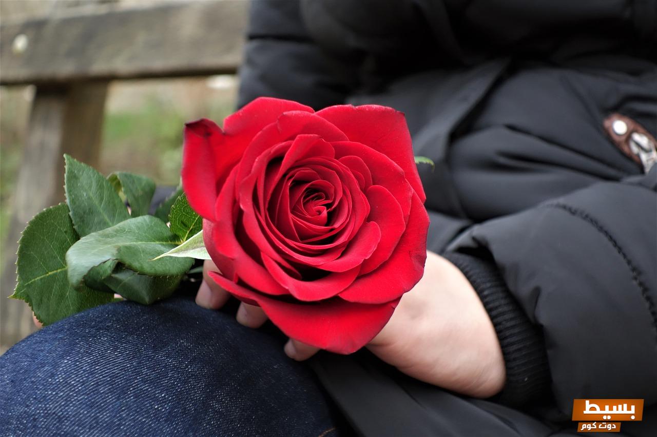 أسئلة تجعل الرجل يحبك وتساعدك على التقرب منه 4 أسئلة تجعل الرجل يحبك وتساعدك على التقرب منه